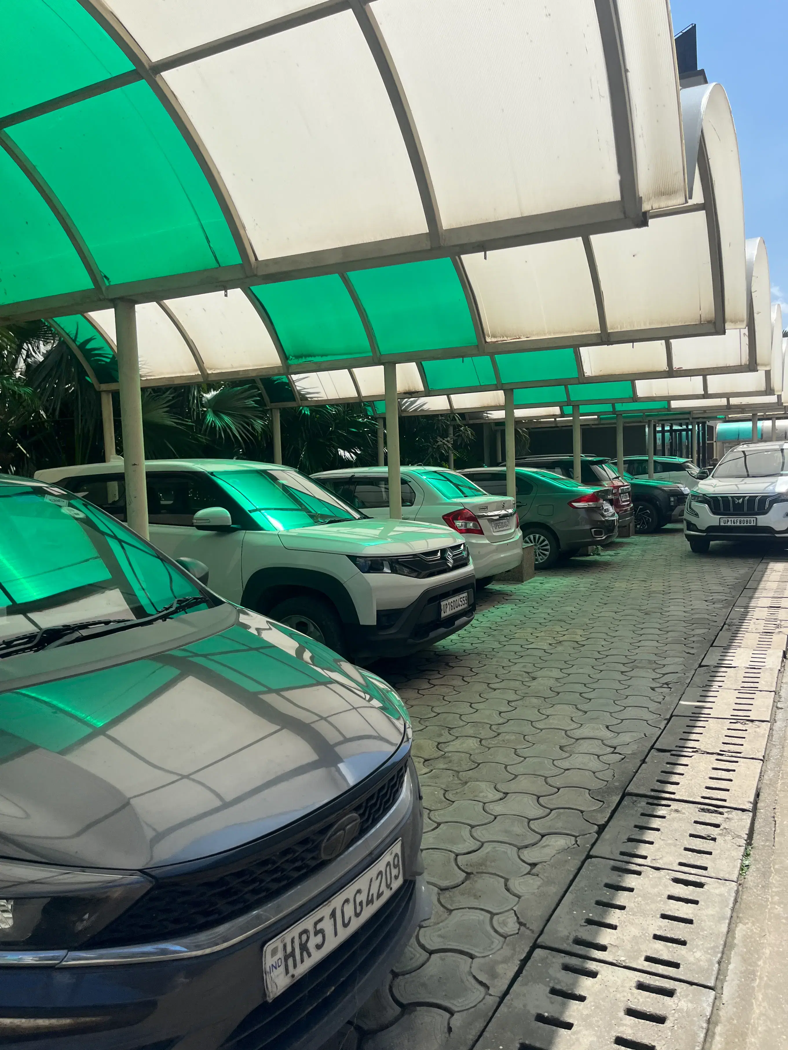 GL Bajaj Outdoor photo 3